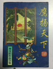 鹰扬天下