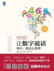 [让数字说话：审计，就这么简单]金十七
