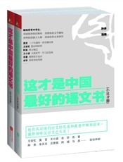 这才是中国最好的语文书（综合&小说分册）（套装共两册） - 叶开