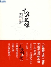 十年忽悠 - 艾米