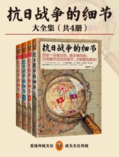魏风华-抗日战争的细节全集（共4册）