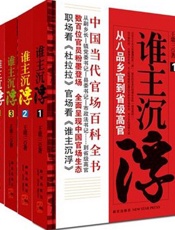 谁主沉浮_官场小说经典全集(套装共4册) - 王鼎三