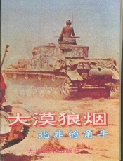 大漠狼烟—北非的角斗