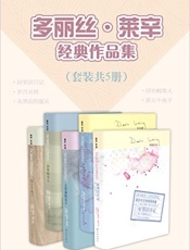 多丽丝·莱辛经典作品集（好邻居日记_岁月无情_天黑前的夏天_浮世畸零人_第五个孩子）（套装共5册） - 多丽丝·莱辛