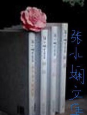 张小娴文集