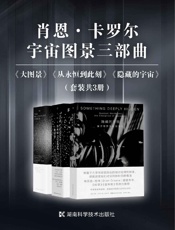 肖恩·卡罗尔宇宙图景三部曲：大图景+从永恒到此刻+隐藏的宇宙（共3册）