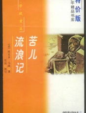 苦儿流浪记（简写版）