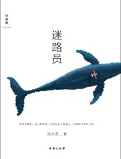 《迷路员》---沈大成