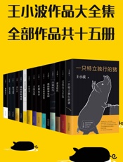 王小波真正大全集（15册，李银河独家授权，并亲自校订全稿。王小波逝世二十周年精装纪念版！特别收入从未面市的手稿及照片！） - 王小波