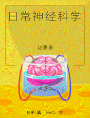 赵思家@知乎-(NACL_39)日常神经科学