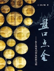 盘口点金——在K线变幻中玩转黑马股-徐子城