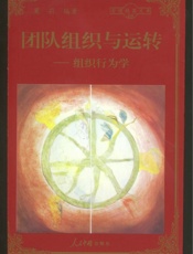 团队组织与运转—组织行为学