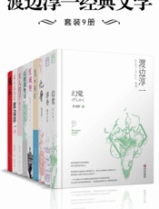 渡边淳一经典文学套装9册（包含《幻觉》 《浮舟》《化身》《男女有别》《红城堡》《北海道物语》《女人的手》《我永远的家》《情人》） - 渡边淳一