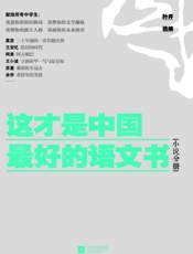 这才是中国最好的语文书( 小说分册 )-叶开