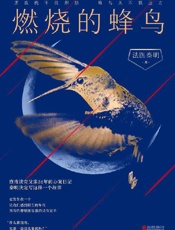 燃烧的蜂鸟