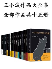 《王小波作品大全集（套装15册）》