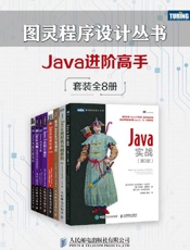 图灵程序设计丛书：Java进阶高手（套装共8册）