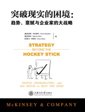 突破现实的困境：趋势、禀赋与企业家的大战略 - 克里斯·布拉德利 & 贺睦廷 & 斯文·斯密特