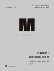 不敢懈怠：曼德拉的总统岁月(接续《漫漫自由路》，曼德拉自述面临的艰难与挑战，总统任上的坚持与妥协) (理想国译丛) - 纳尔逊·曼德拉 & 曼迪拉·蓝加