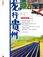 龙行贵州 - 王苗
