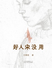 好人宋没用 - 任晓雯