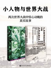 小人物与世界大战(套装2册 甲骨文系列 阿拉伯的劳伦斯_天生幸存者） - 斯科特·安德森 & [英]温迪·霍尔登（Wendy Holden)