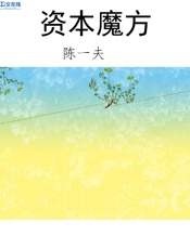 资本魔方 - 陈一夫